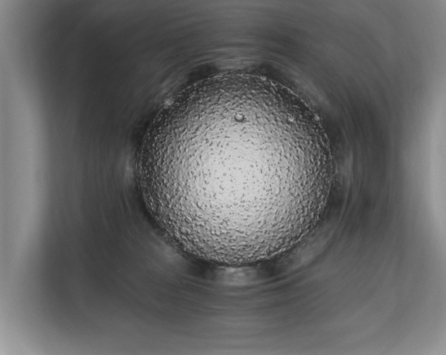 X0000110690277200906191513