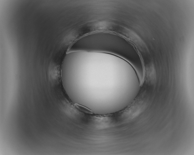 X0000110690284200906191513