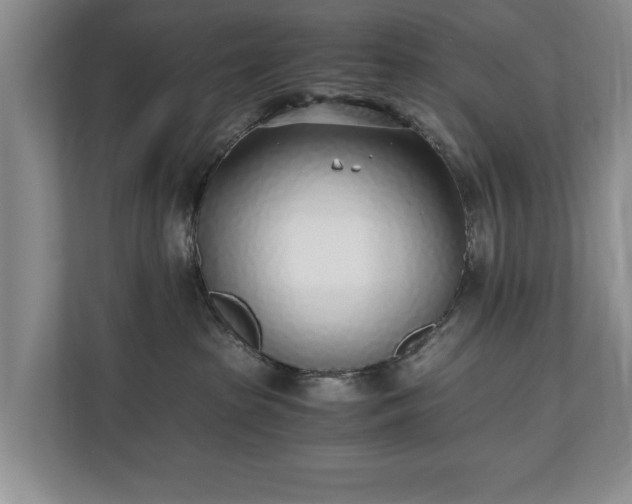 X0000110690285200906191513