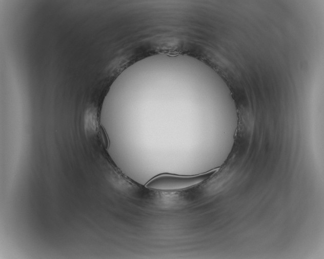 X0000110690287200906191513