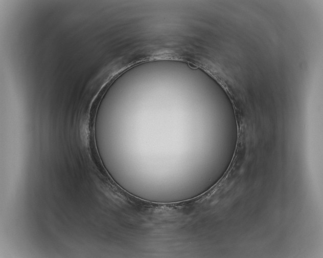 X0000110690290200906191513