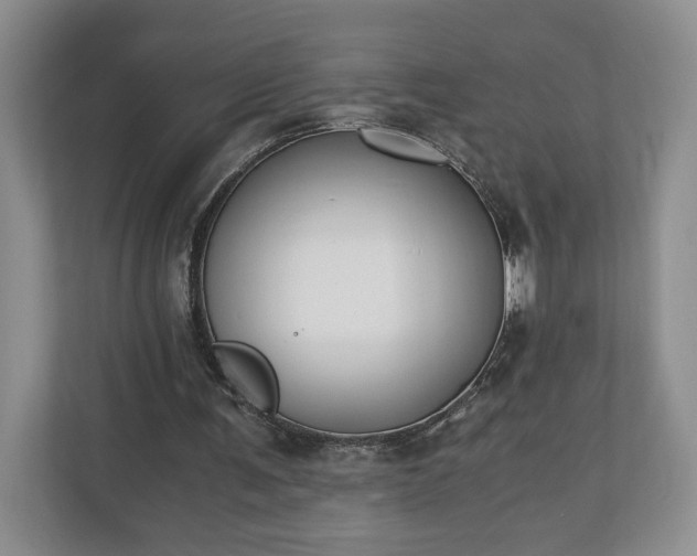 X0000110690291200906191513