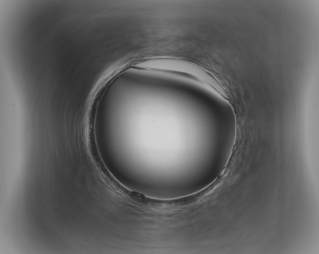 X0000110690293200906191513