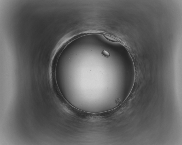 X0000110690296200906191513