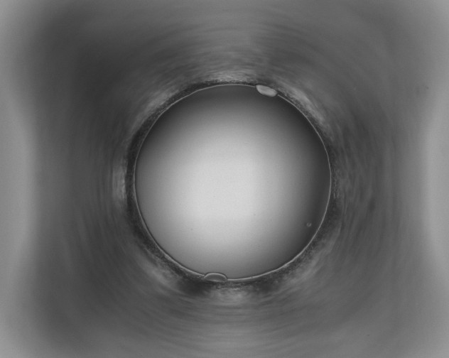 X0000110690299200906191513