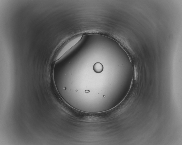 X0000110690300200906191513