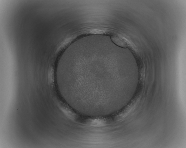 X0000110690303200906191513