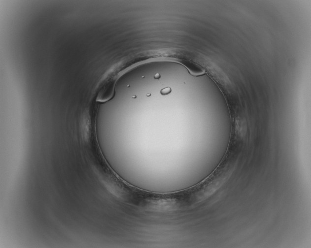 X0000110690304200906191513