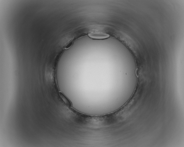 X0000110690305200906191513