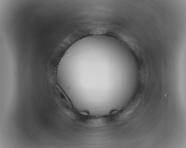 X0000110690307200906191513