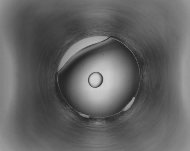 X0000110690308200906191513