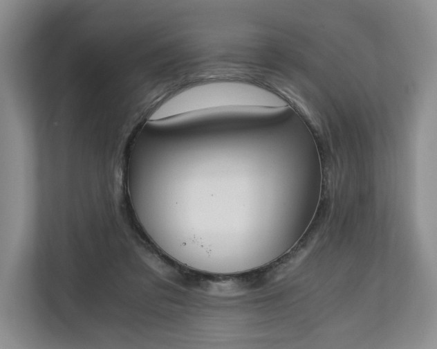 X0000110690309200906191513