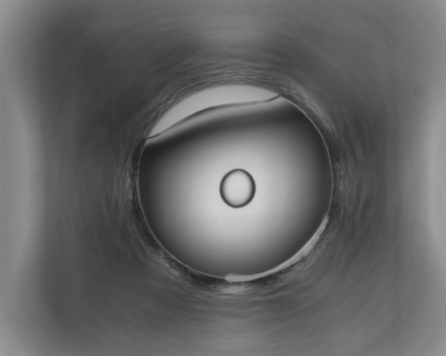 X0000110690313200906191512