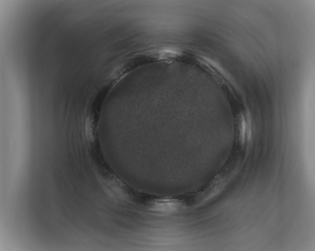 X0000110690316200906191512