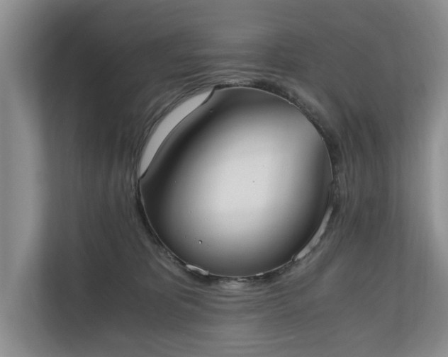 X0000110690325200906191512