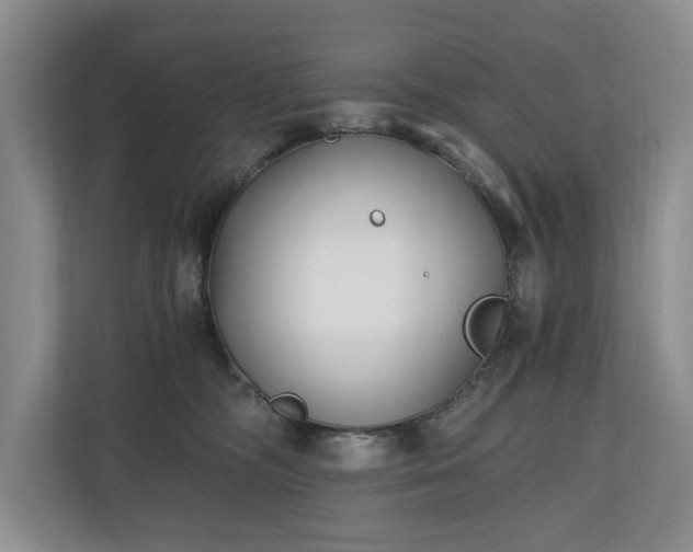 X0000110690326200906191512