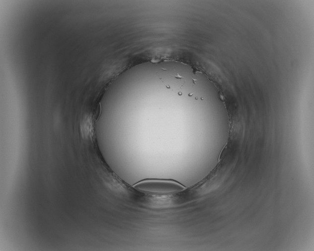 X0000110690335200906191512