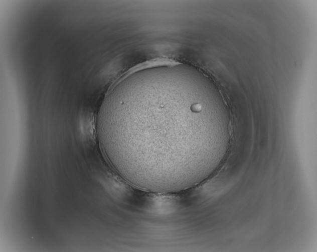 X0000110690336200906191512