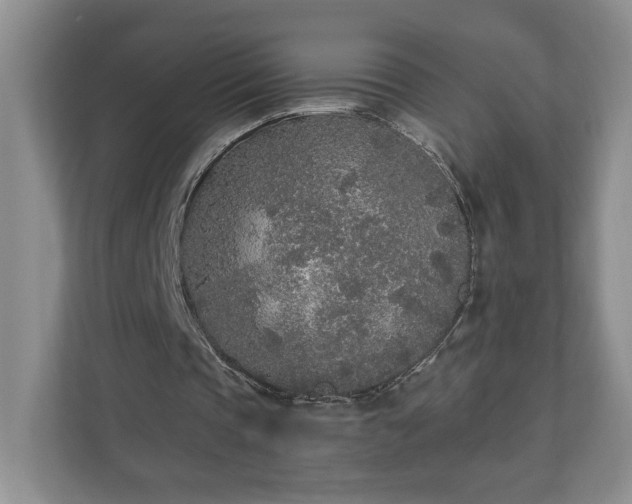 X0000110690337200906191512