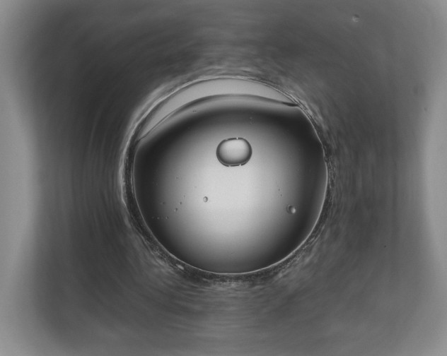 X0000110690340200906191512