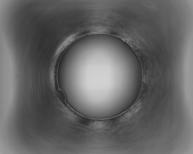 X0000110690341200906191512