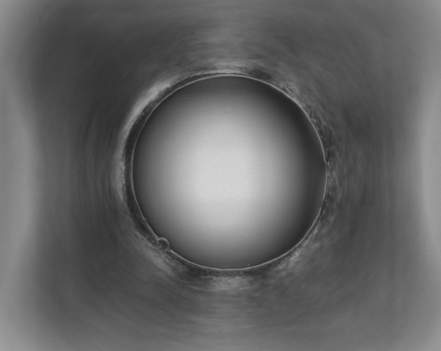 X0000110690342200906191512