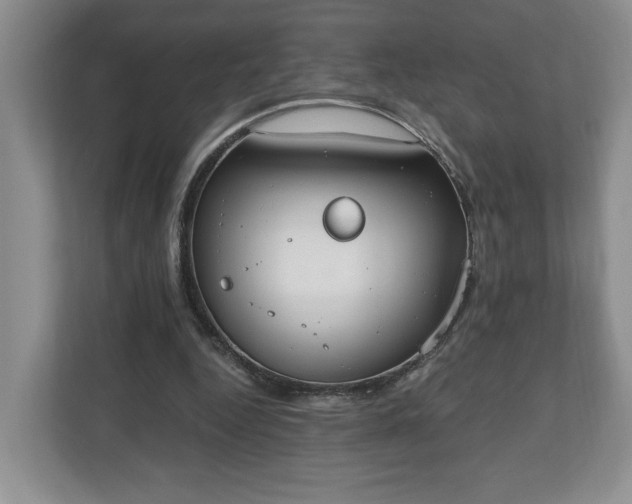 X0000110690344200906191512