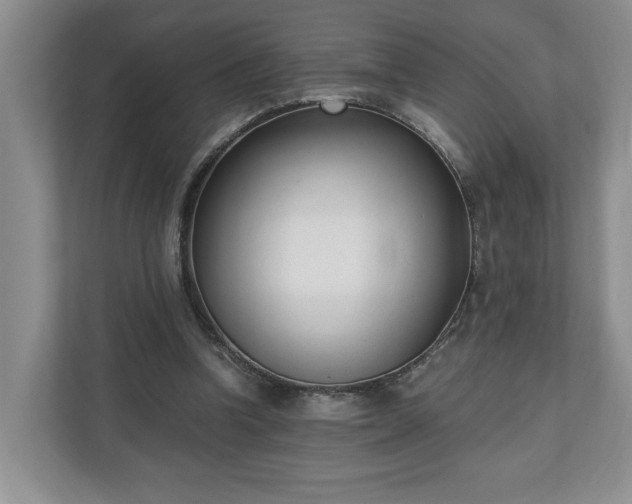 X0000110690346200906191512