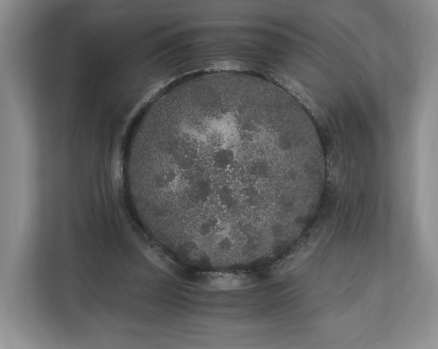 X0000110690347200906191512