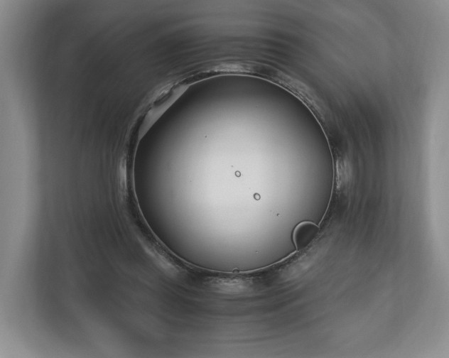 X0000110690349200906191512