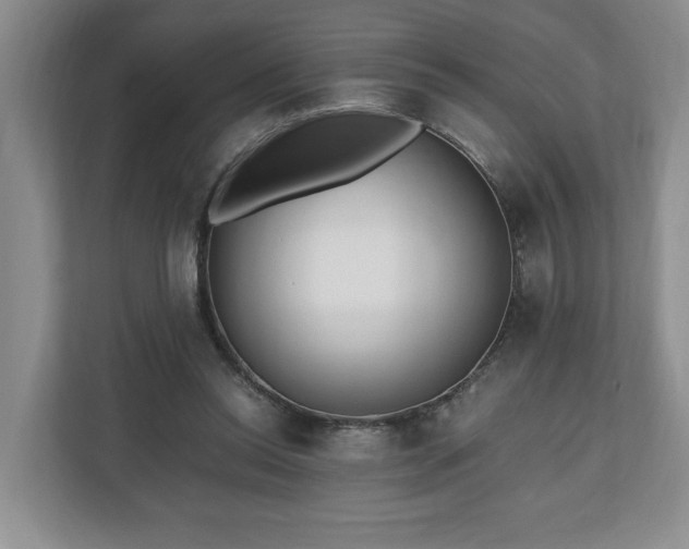 X0000110690350200906191512