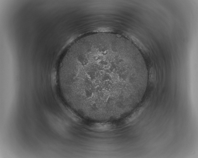 X0000110690351200906191512