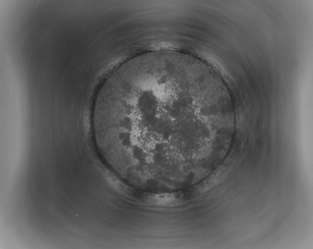 X0000110690353200906191512