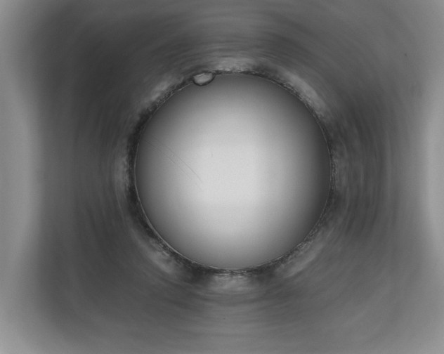 X0000110690354200906191512