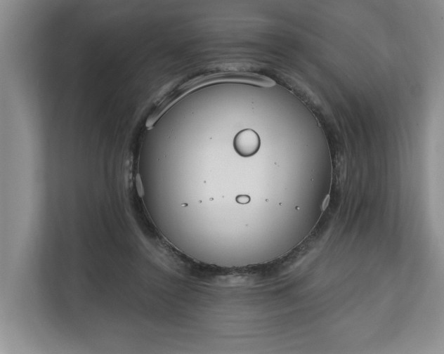 X0000110690356200906191512