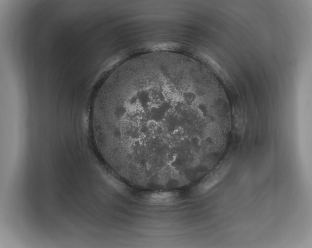 X0000110690357200906191512