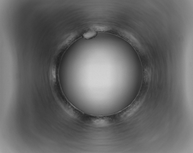 X0000110690358200906191512