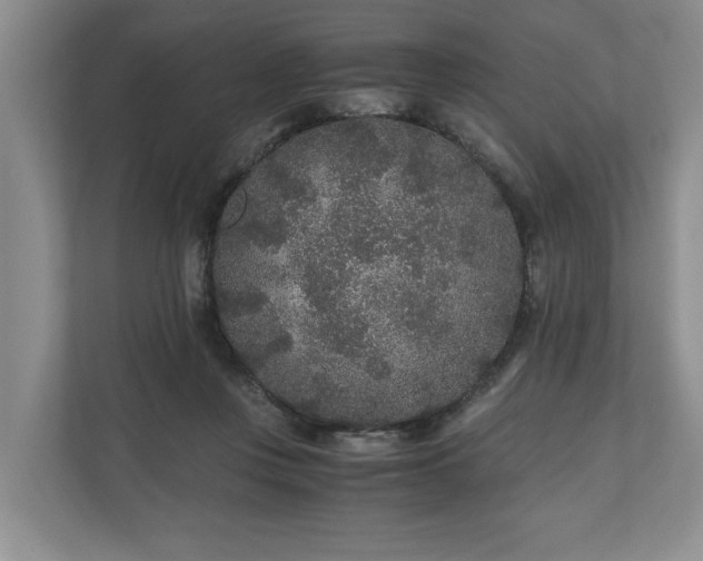 X0000110690359200906191512