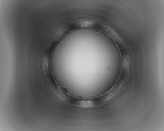 X0000110690363200906191512