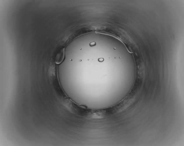 X0000110690368200906191512