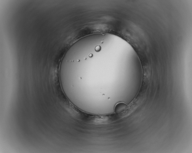 X0000110690369200906191512