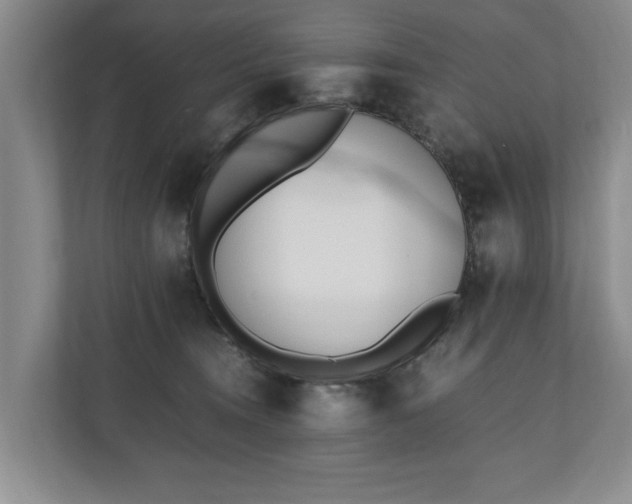 X0000110690372200906191512