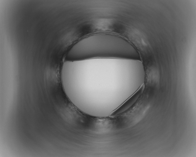 X0000110690376200906191512