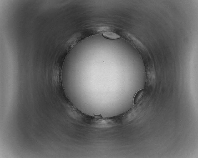 X0000110690379200906191512