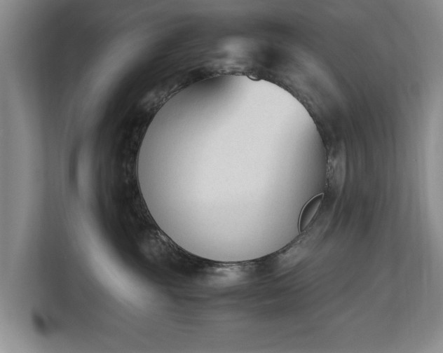 X0000110690381200906191512