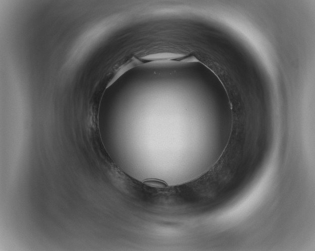 X0000110690382200906191512