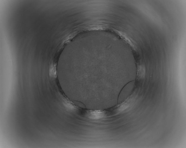 X0000110690383200906191512