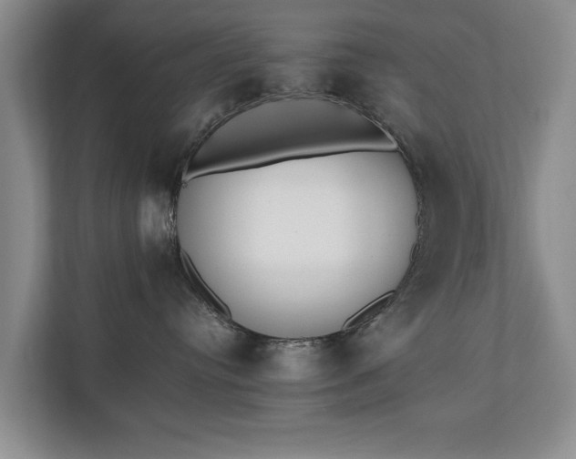 X0000110690384200906191512