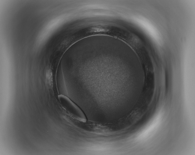 X0000110690387200906191511