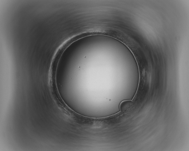 X0000110690388200906191511